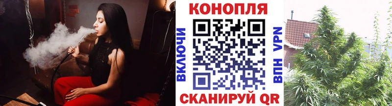 Бошки марихуана OG Kush Уржум